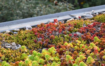 the cost of Westford green roof installation