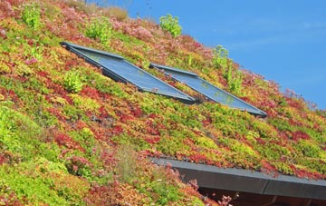 Westford living roof systems